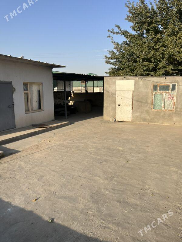 Pikarny - Bagyr - img 2