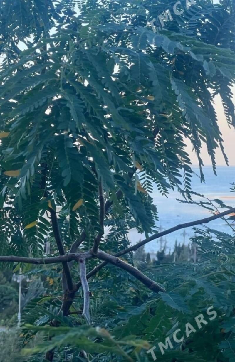 Satlyk jay 2 komnat 2 etaž - Türkmenbaşy - img 6