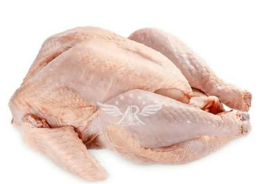 Guşlar  Bedene - Кака - img 4