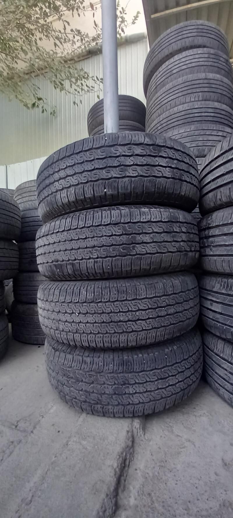 245-65-17 toyo 300 TMT - Бедев - img 1