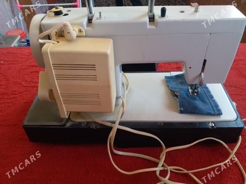 чайка - Türkmenabat - img 2