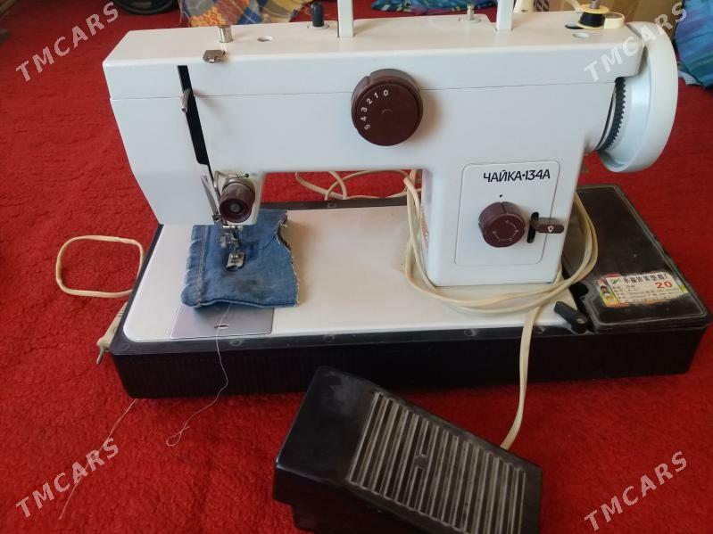 чайка - Türkmenabat - img 4