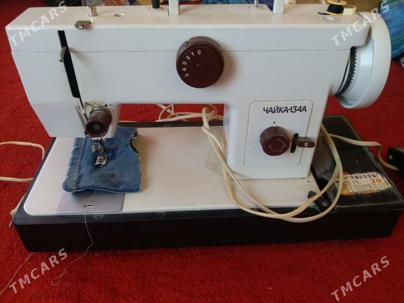 чайка - Türkmenabat - img 3