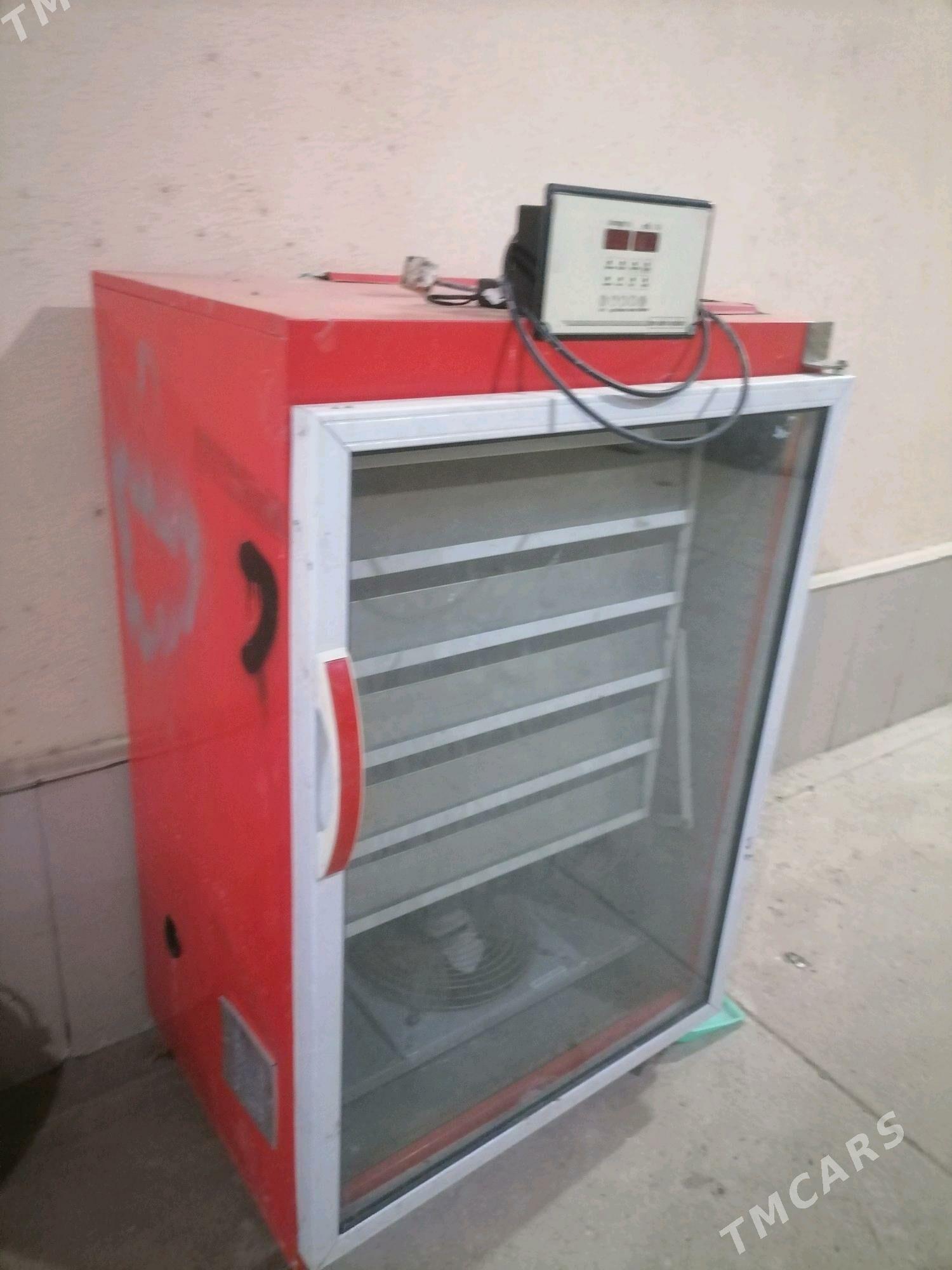 Inkabator - Болдумсаз - img 2