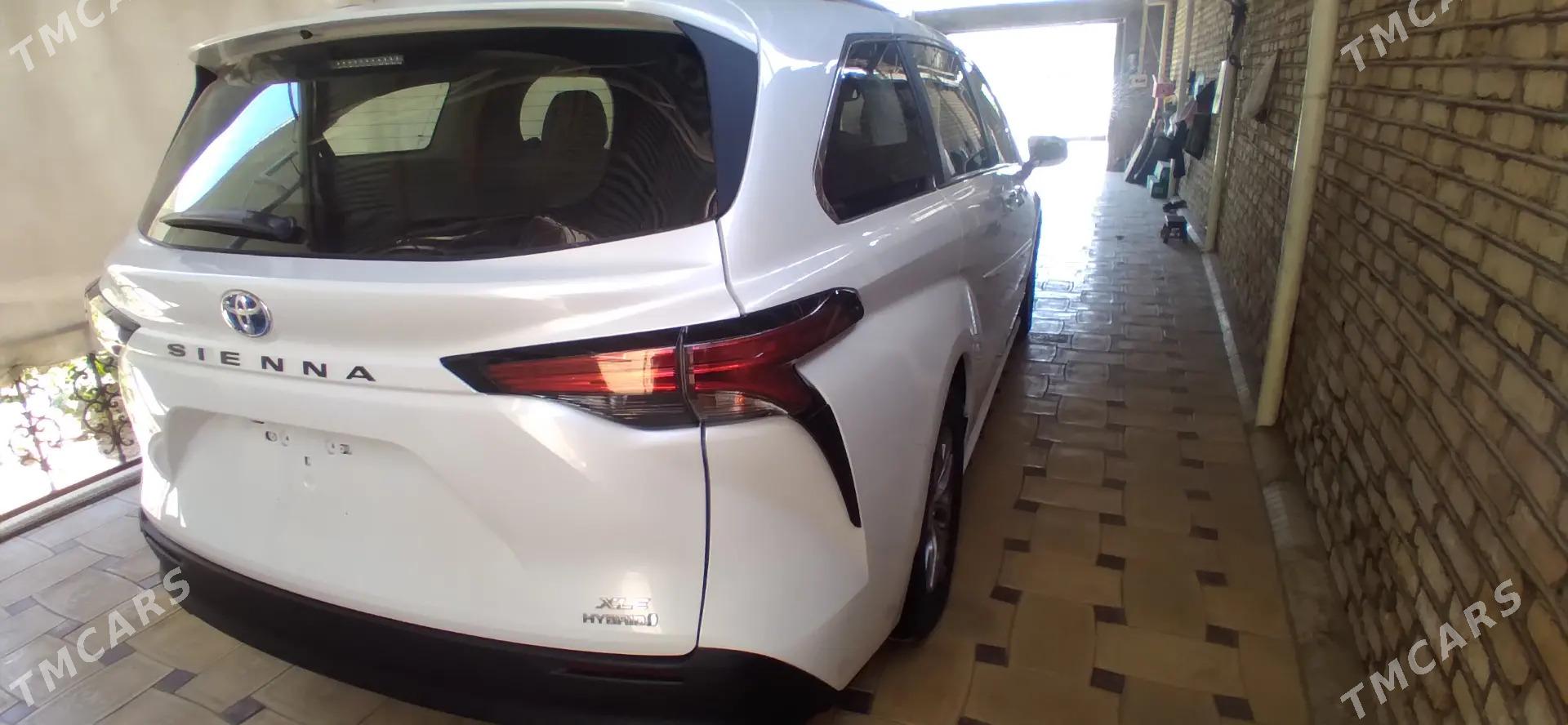 Toyota Sienna 2021 - 515 000 TMT - Мары - img 1