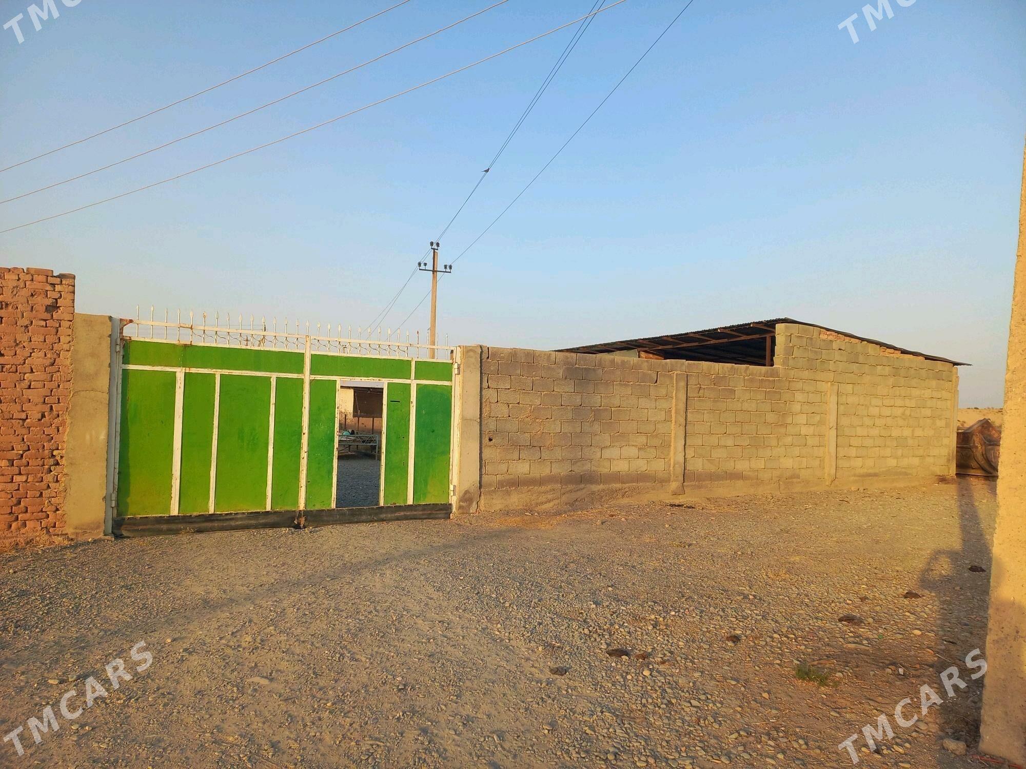 Satlyk jaý - Кака - img 1