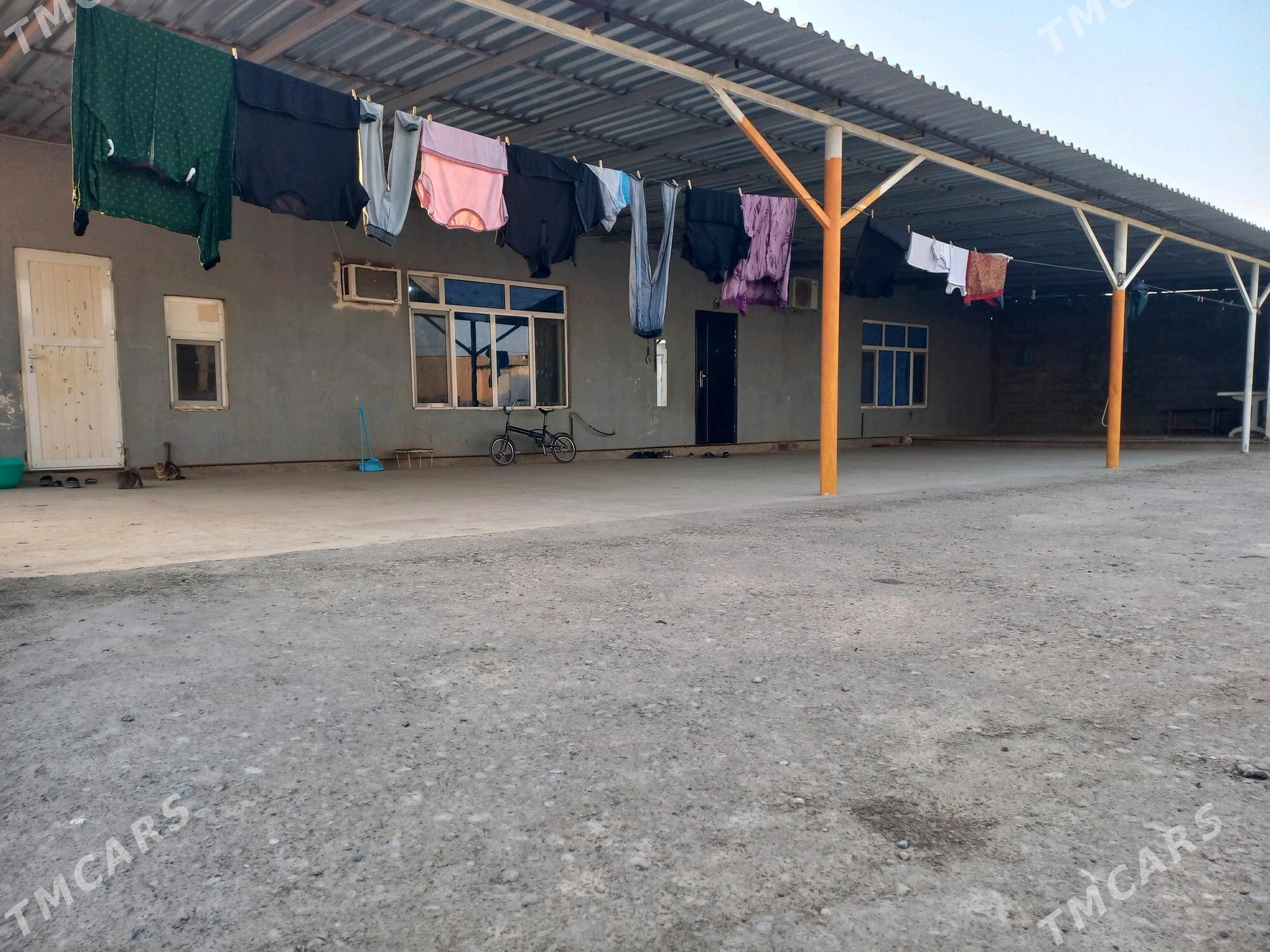 Satlyk jaý - Кака - img 4