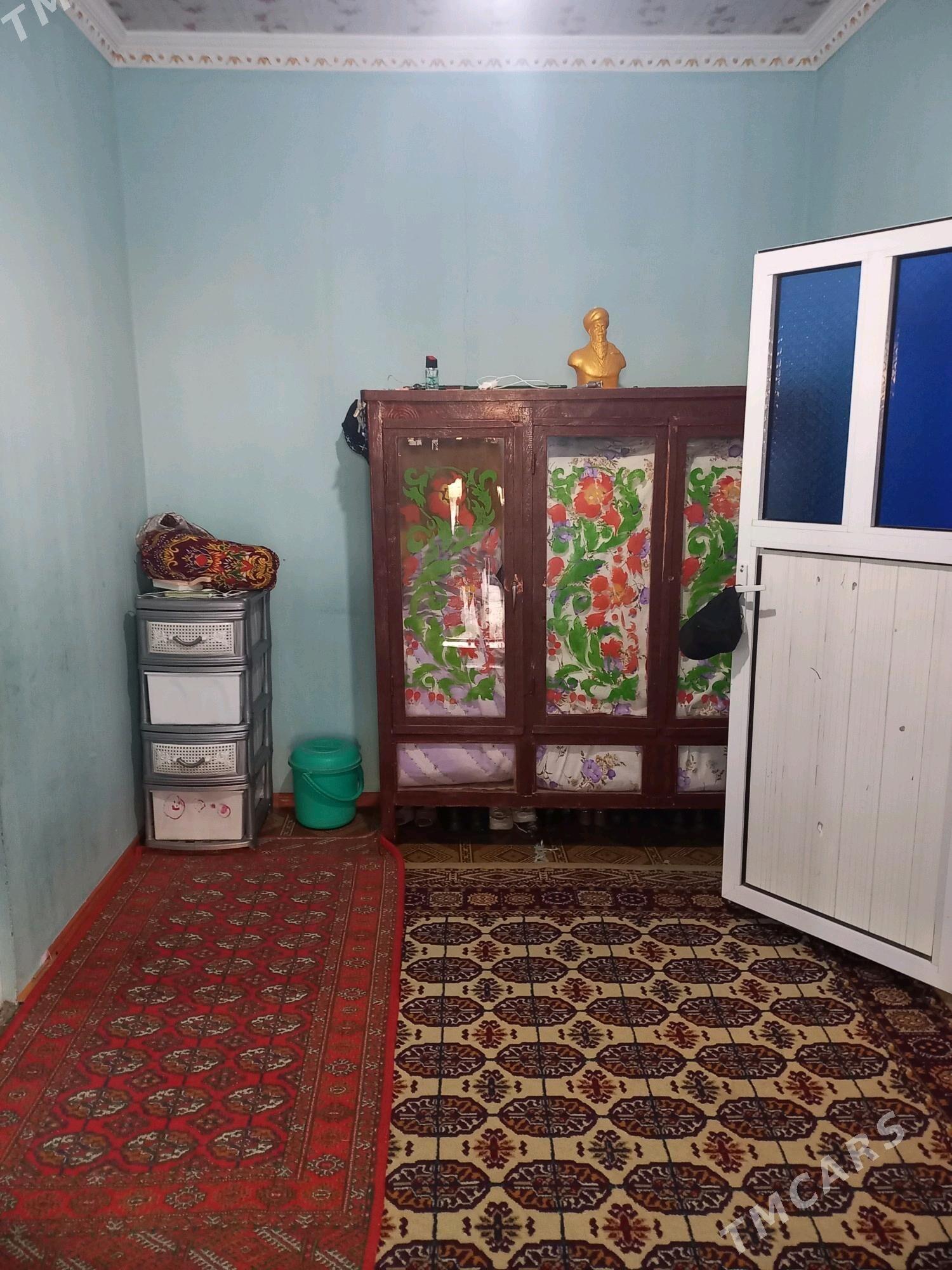 Satlyk jaý - Кака - img 5