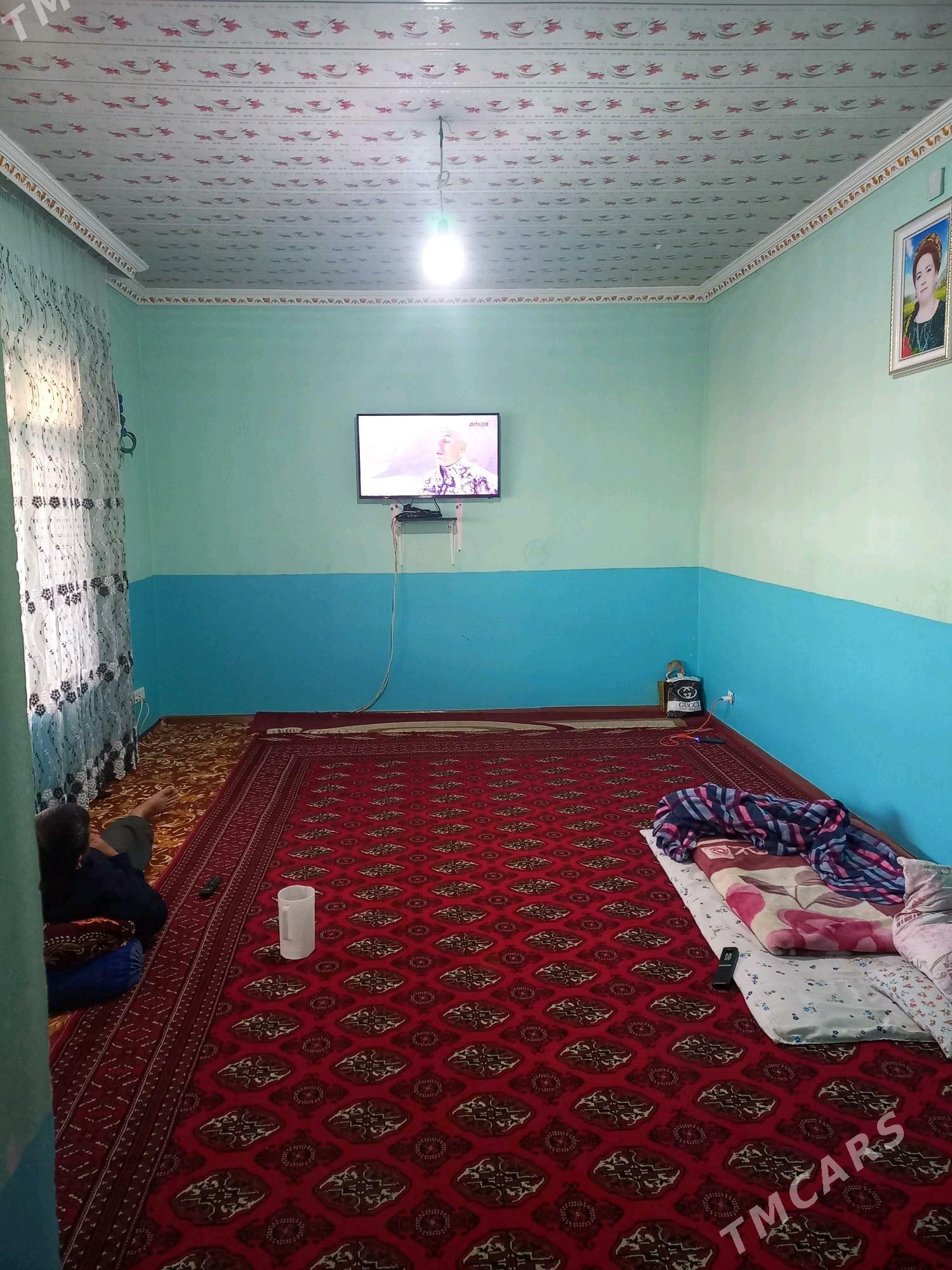 Satlyk jaý - Кака - img 7