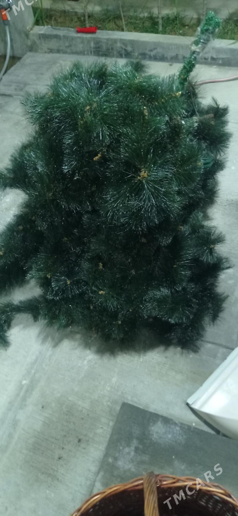 Yolka - 10 mkr - img 3