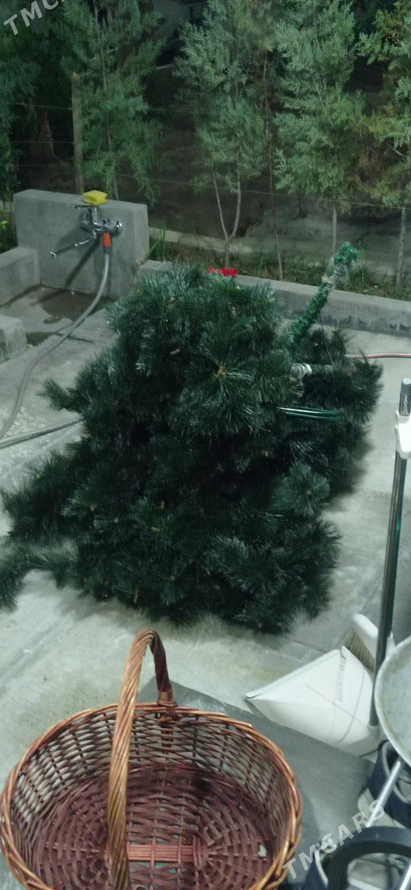 Yolka - 10 mkr - img 5