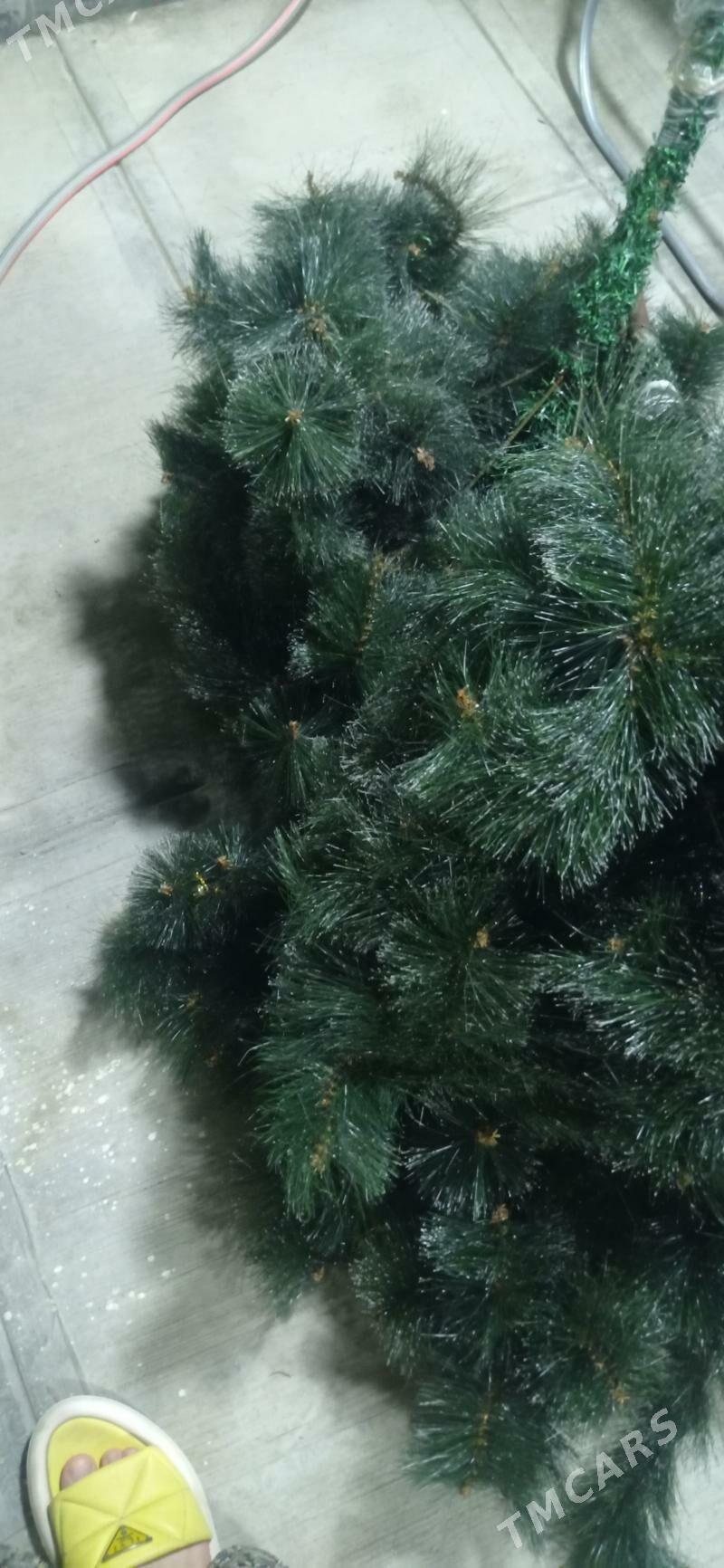 Yolka - 10 mkr - img 4