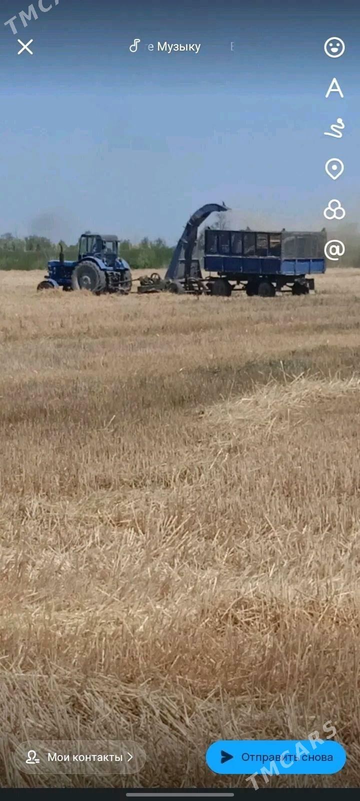 MTZ T-28 1988 - 130 000 TMT - Шабатский этрап - img 5
