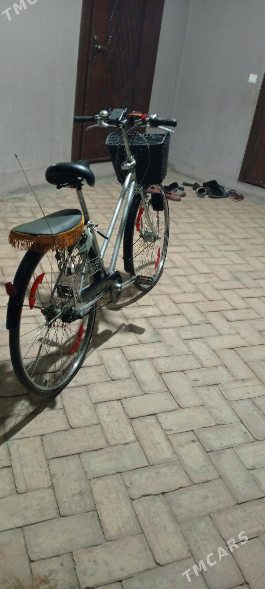 welik 27 - Ёлётен - img 3