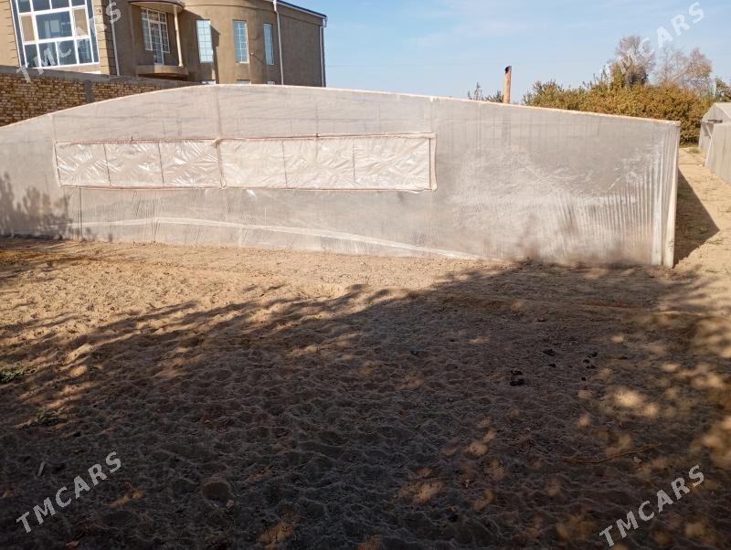 сатлык ер - Mary - img 4