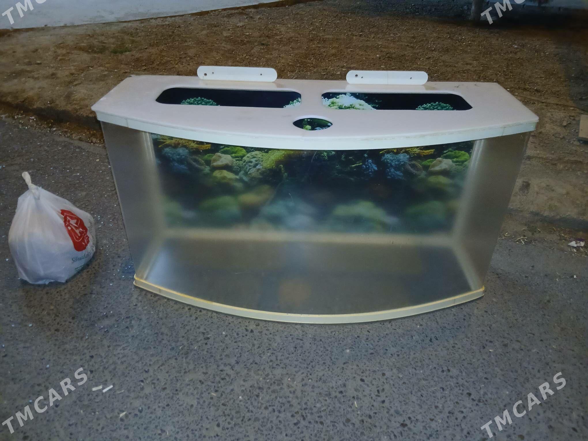 аквариум - Ашхабад - img 1