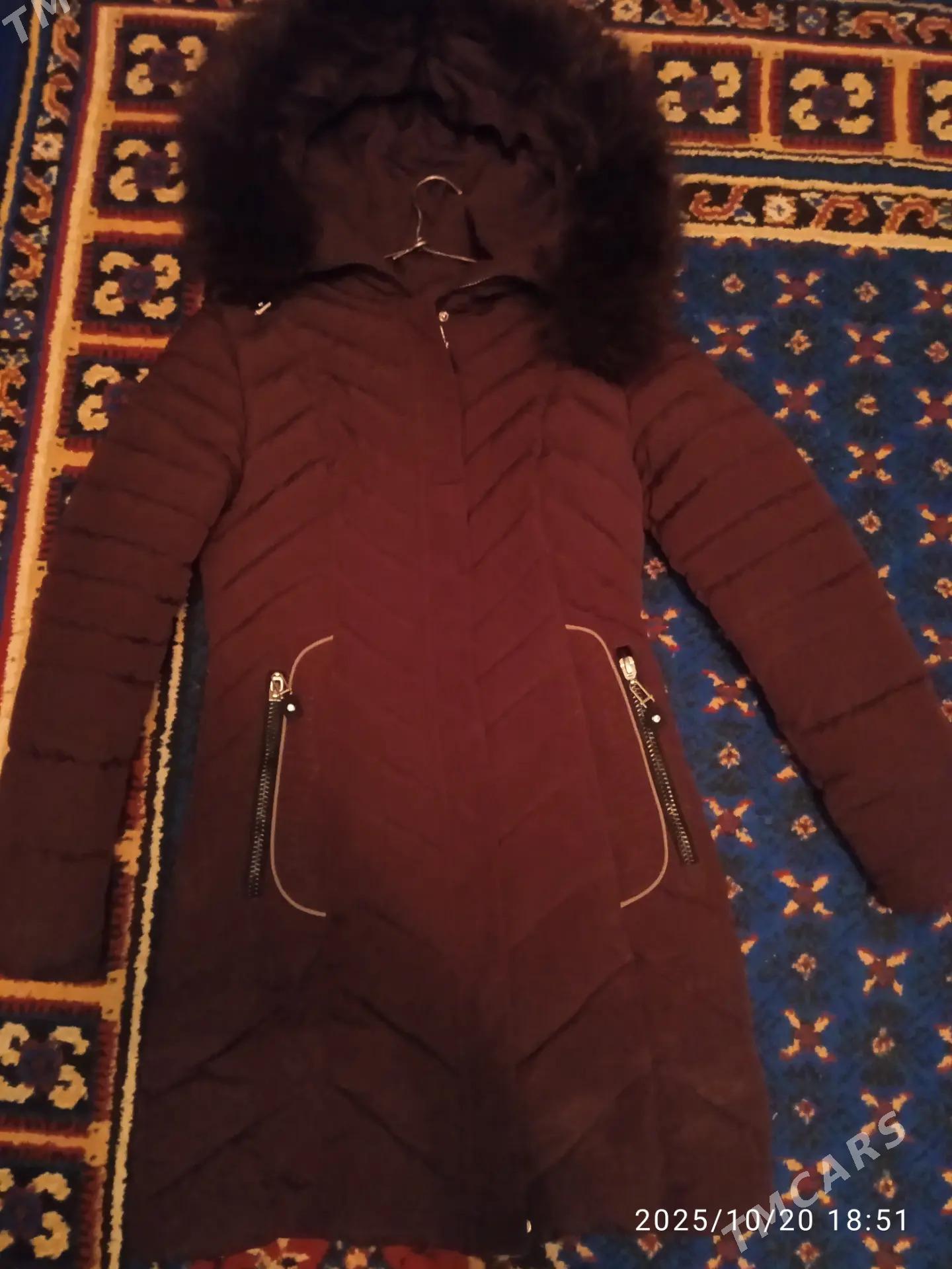 kurtka gyşki - Daşoguz - img 1