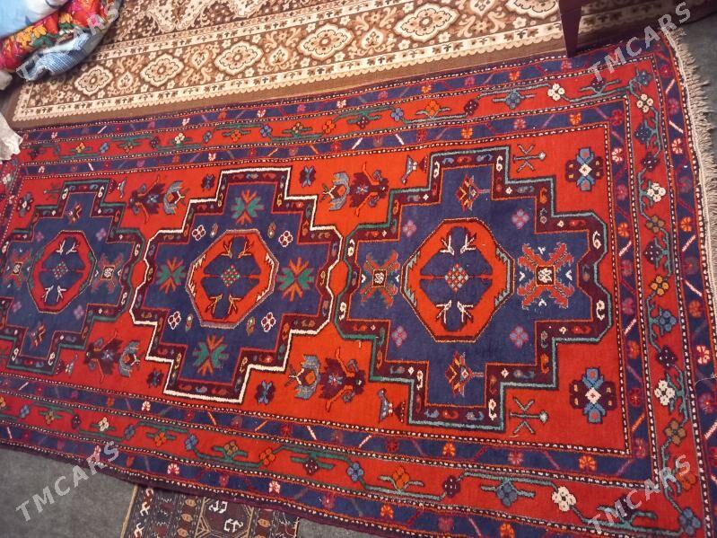 Haly - Bagyr - img 1