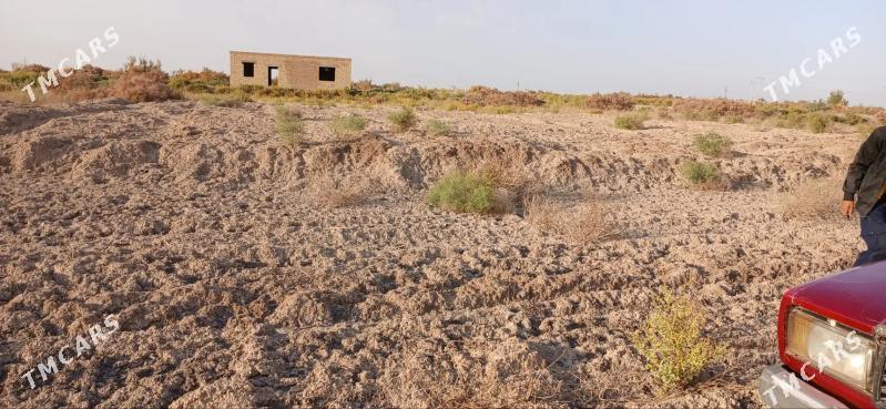 mellek yer - Шабатский этрап - img 5