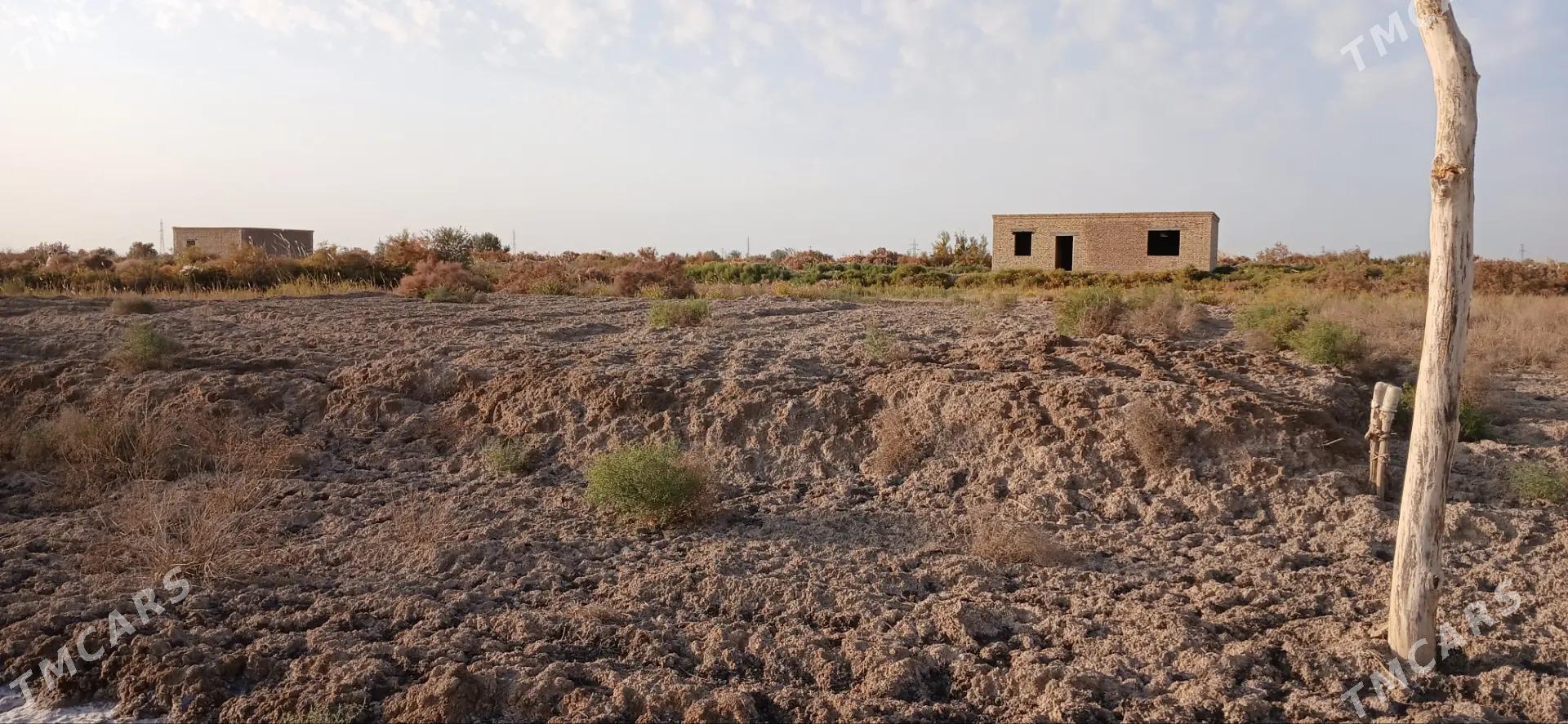 mellek yer - Шабатский этрап - img 4