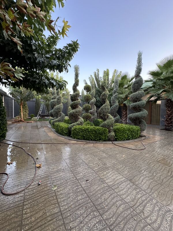 №276 Bagyr kotej 10sotok 8kom - Aşgabat - img 5