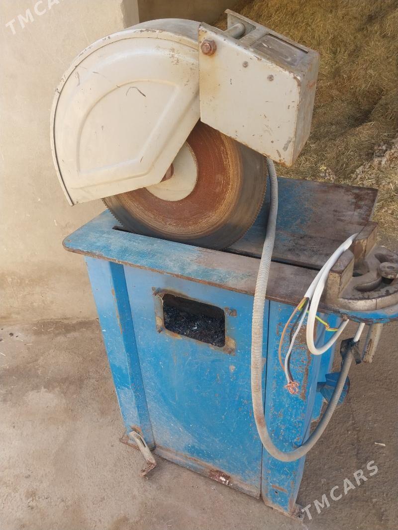 makina - Mary - img 1