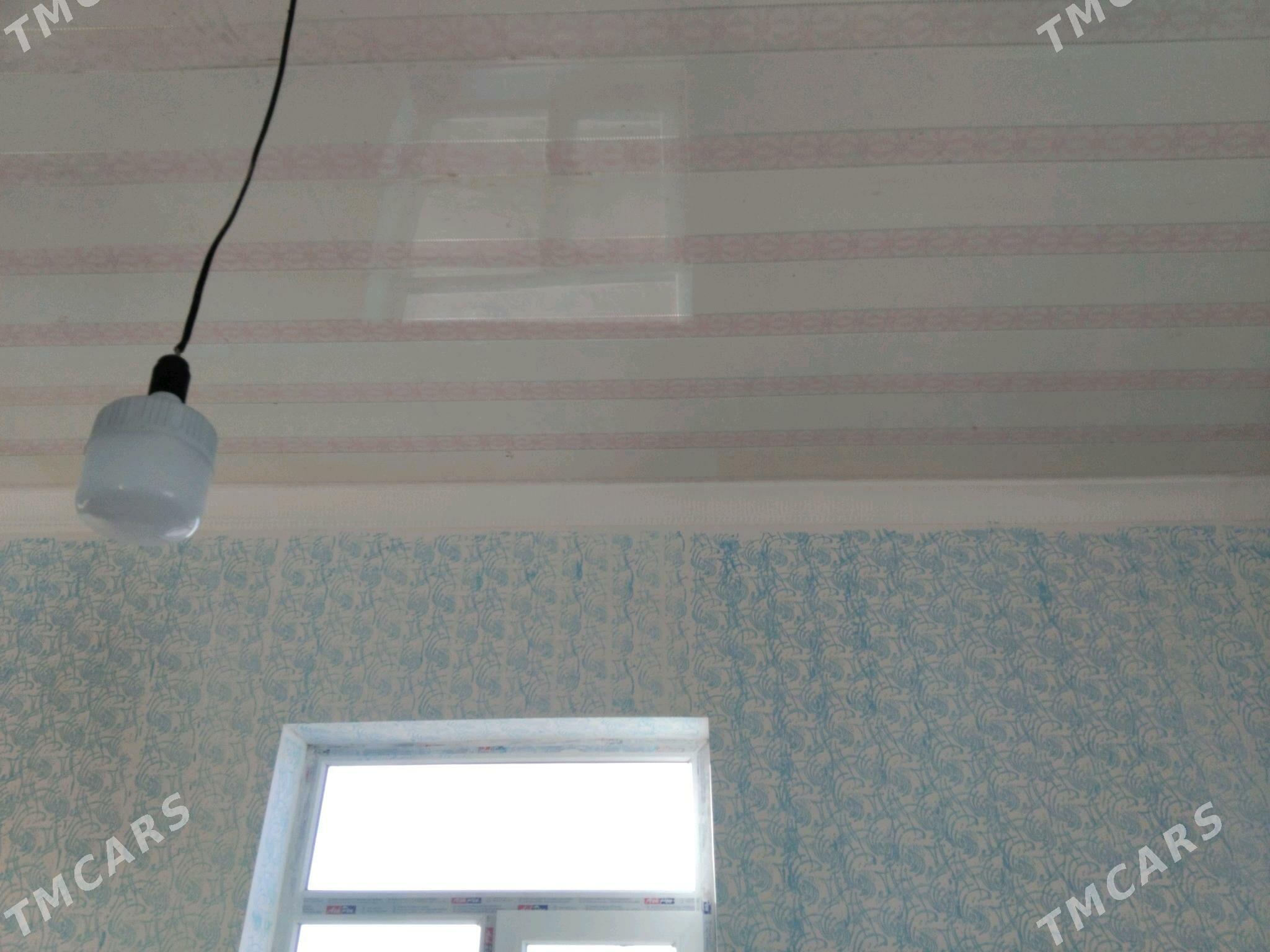 jay. - Daşoguz - img 5