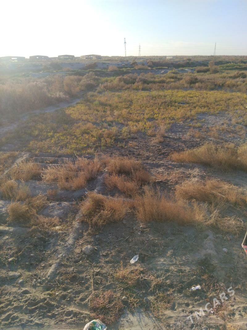 jay. - Daşoguz - img 4