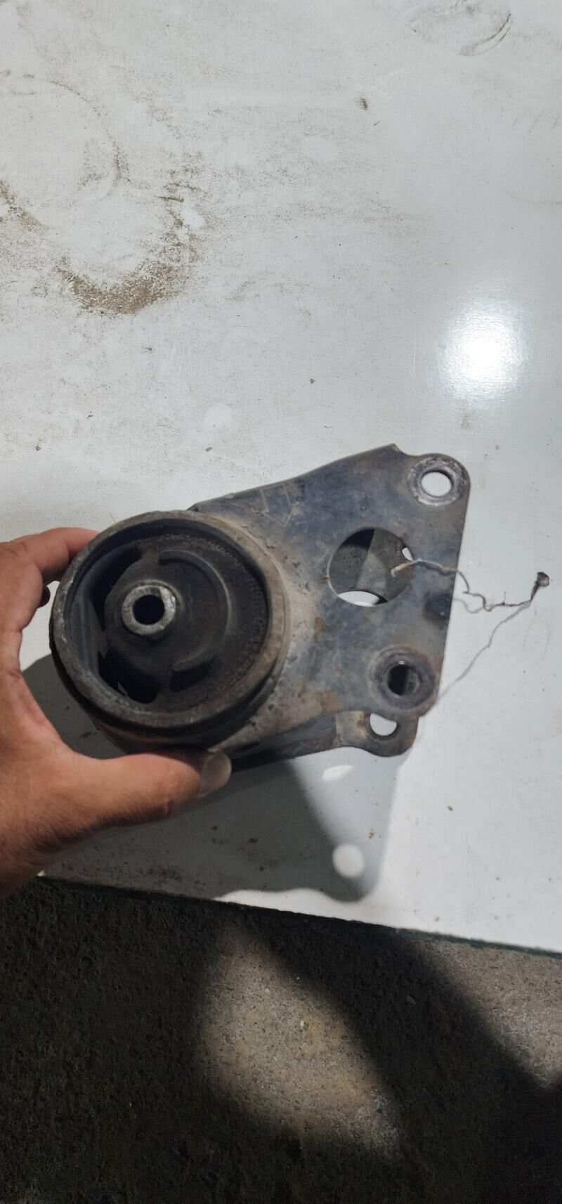 padusga 300 TMT - Hitrowka - img 1