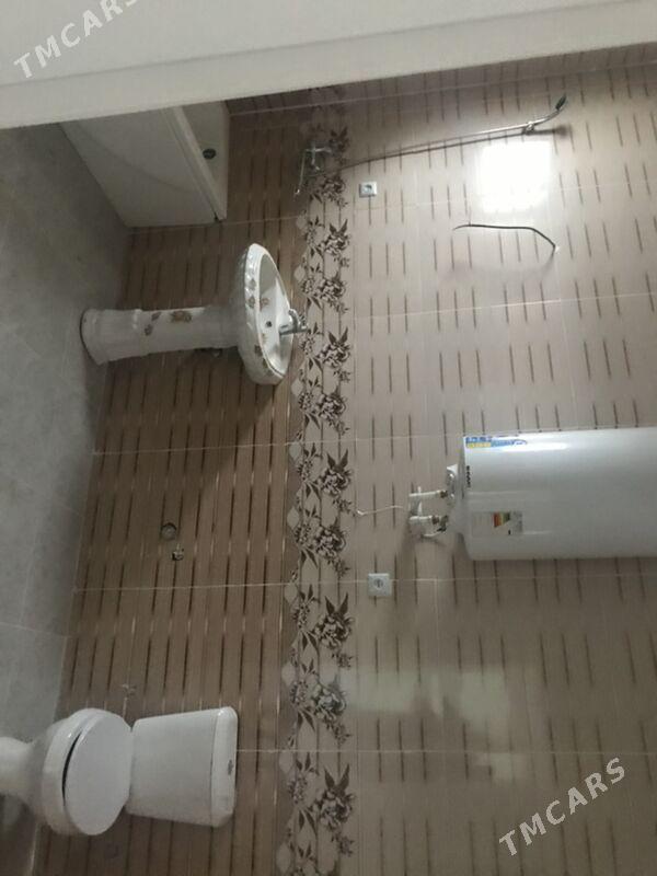 Kotej Gokdepe - Гёкдепе - img 5