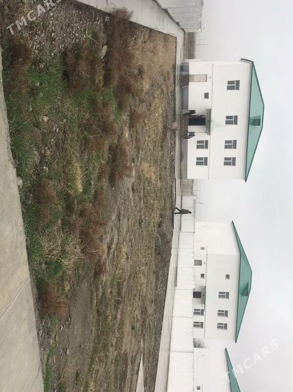 Kotej Gokdepe - Гёкдепе - img 7