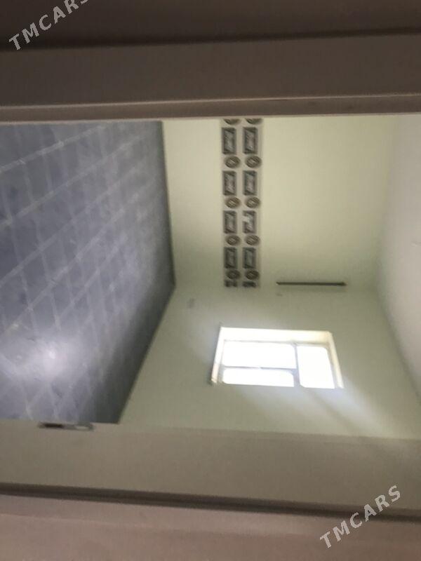 Kotej Gokdepe - Гёкдепе - img 3