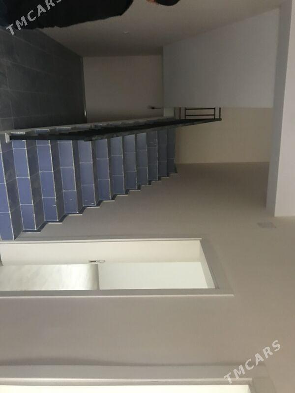 Kotej Gokdepe - Гёкдепе - img 4