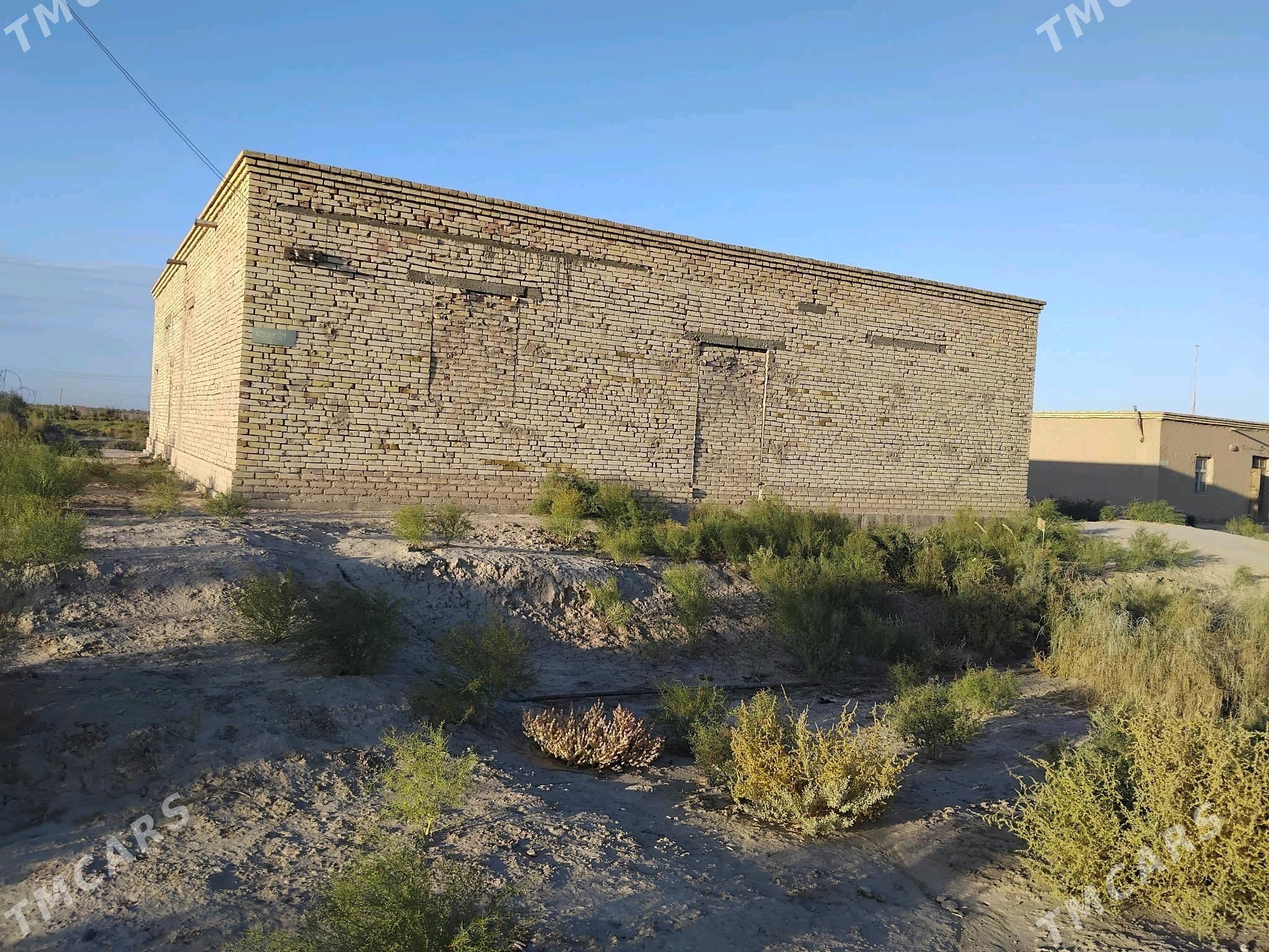 Satlyk jay - Gurbansoltan Eje - img 2