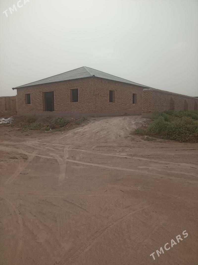 jay - Губадаг - img 1