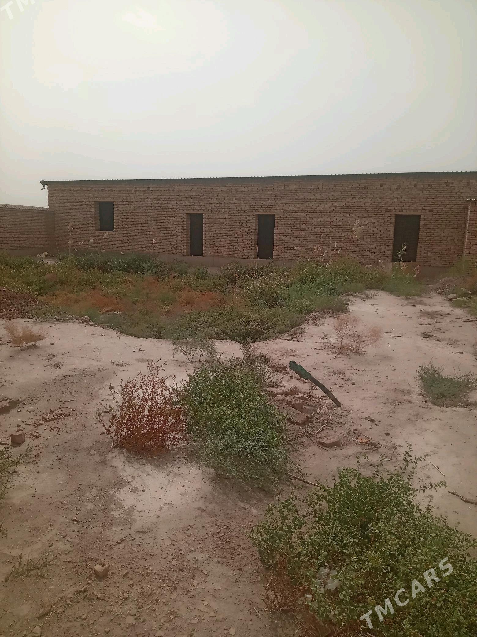 jay - Губадаг - img 7