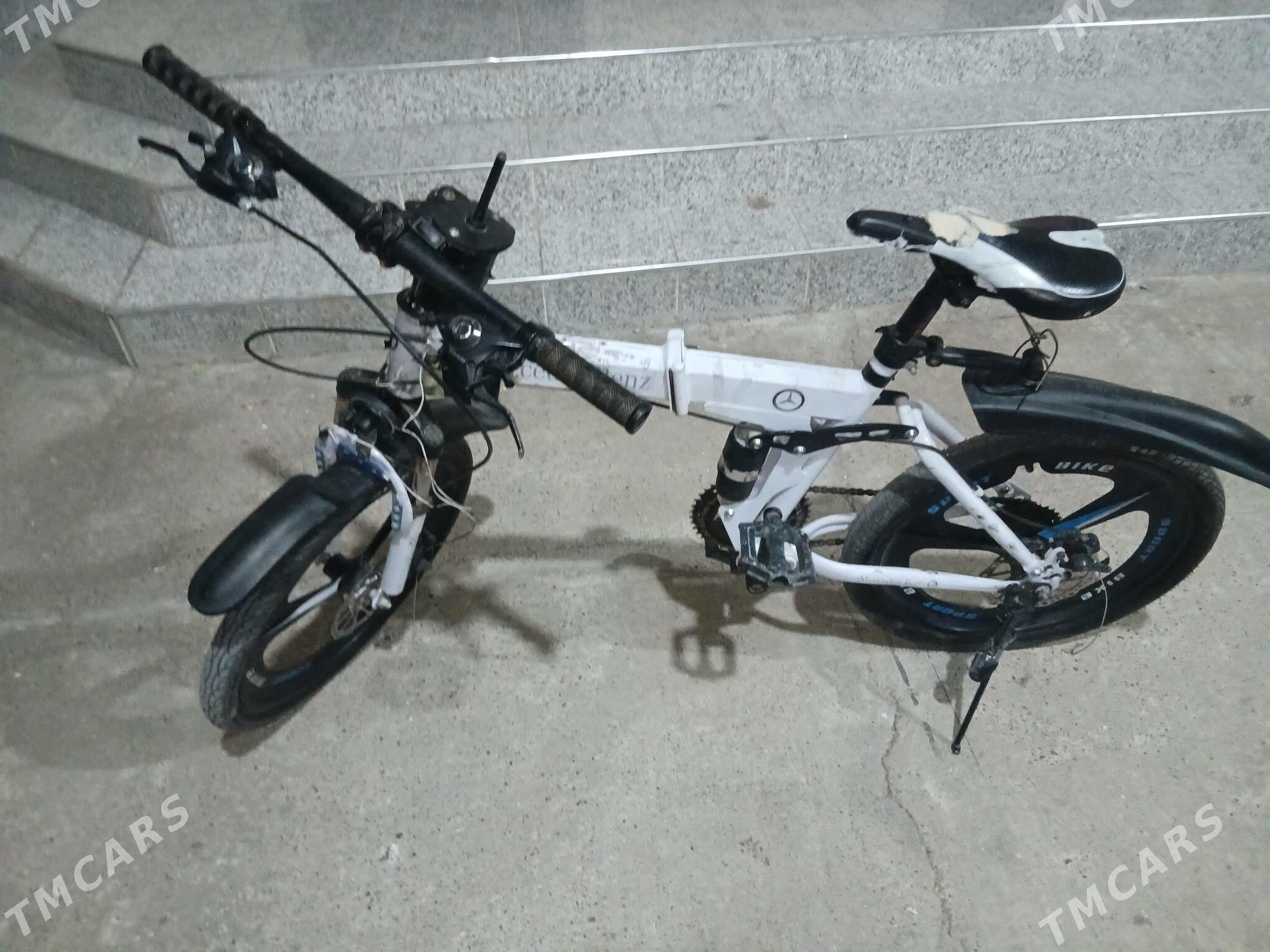 Tigir Mersedes - Херрикгала - img 3