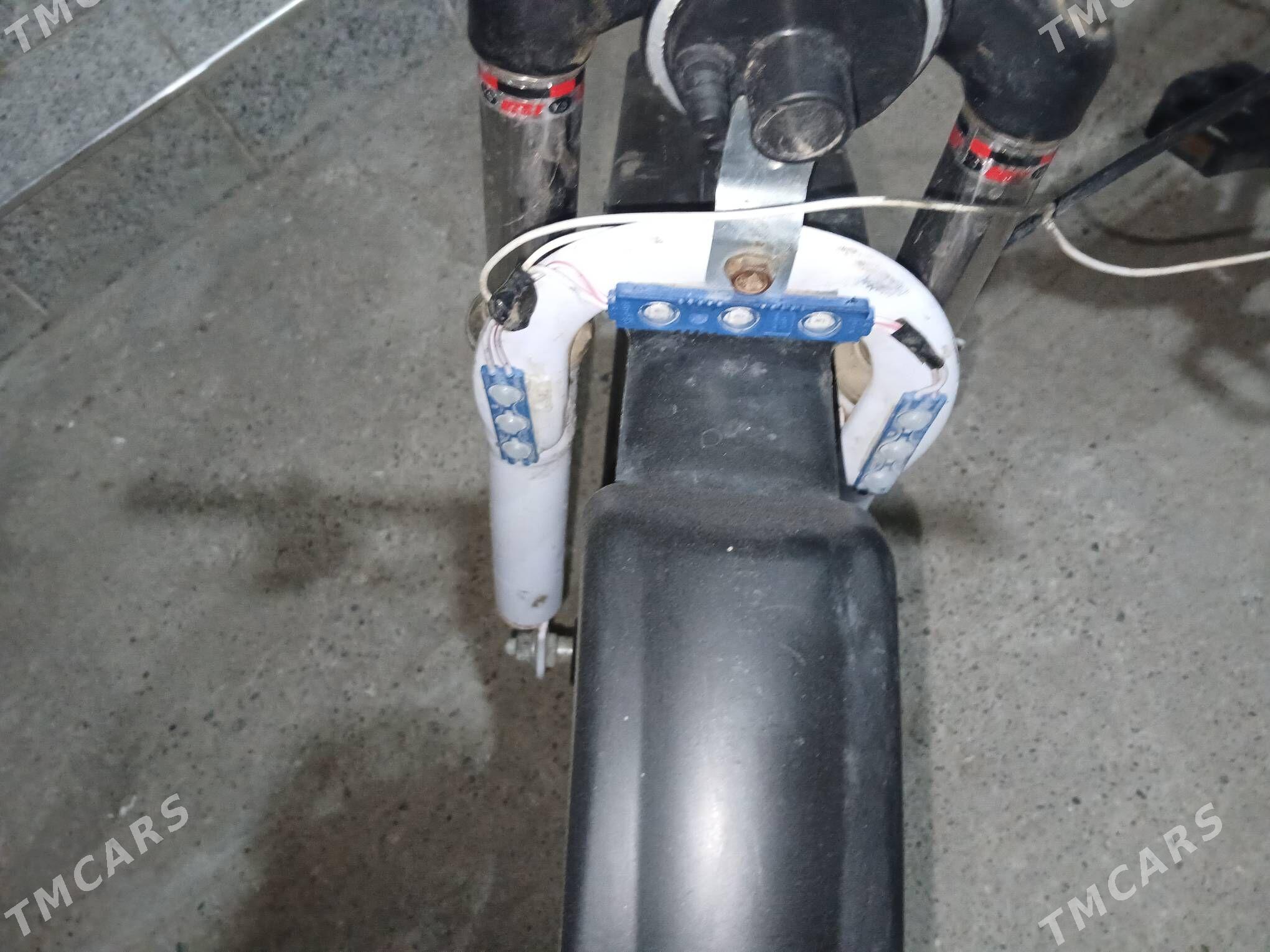 Tigir Mersedes - Херрикгала - img 4