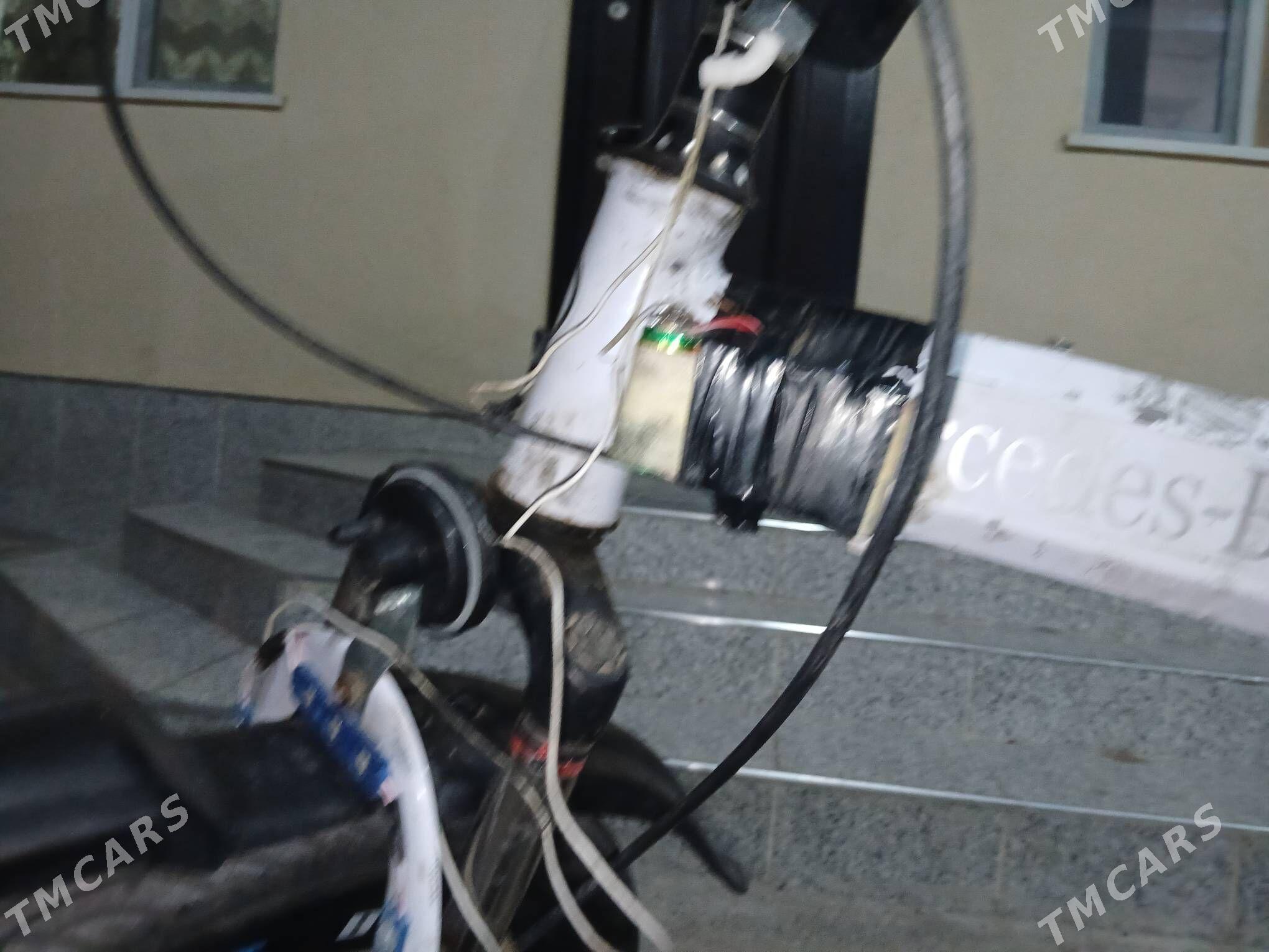 Tigir Mersedes - Херрикгала - img 2