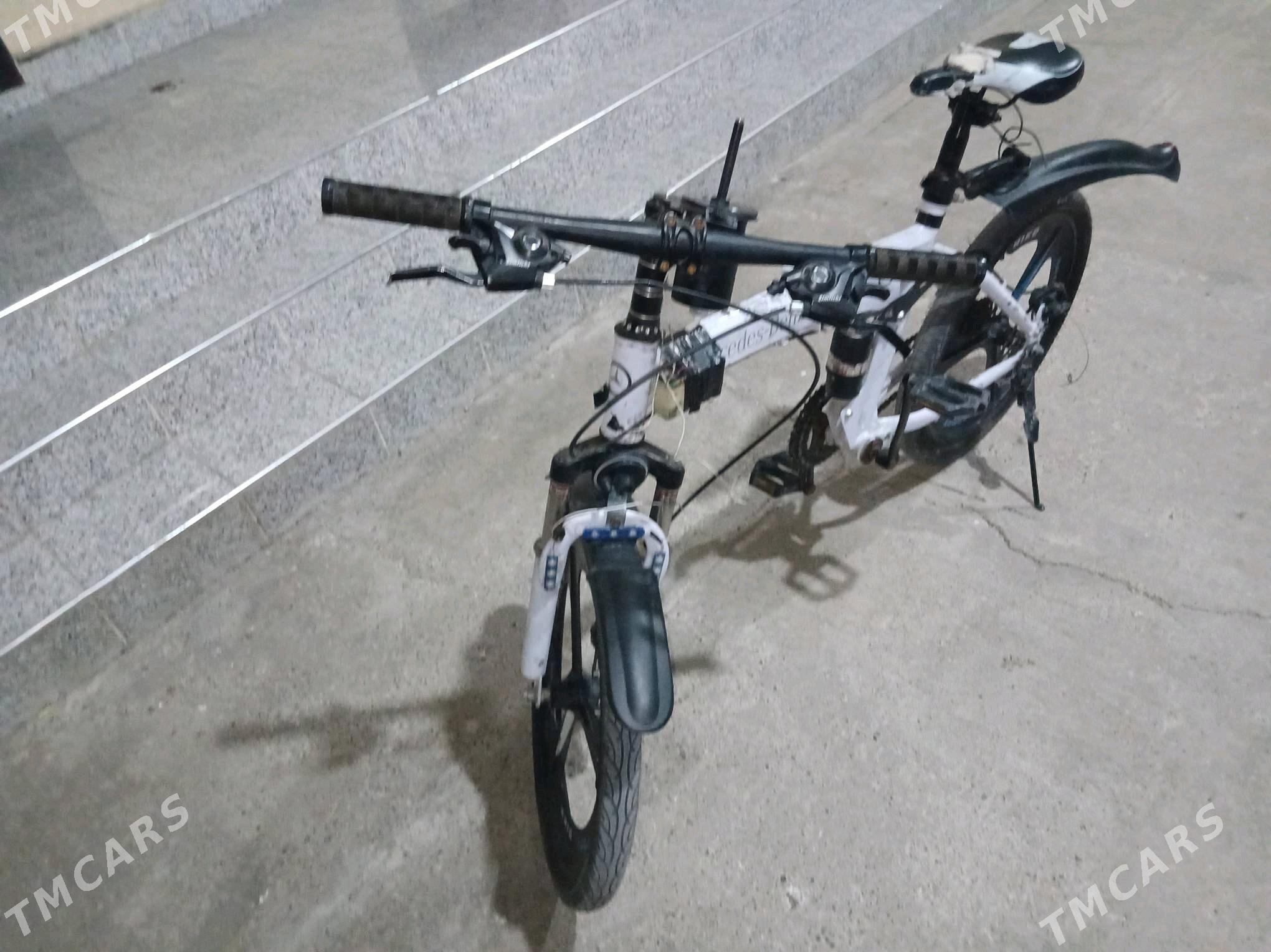 Tigir Mersedes - Херрикгала - img 5