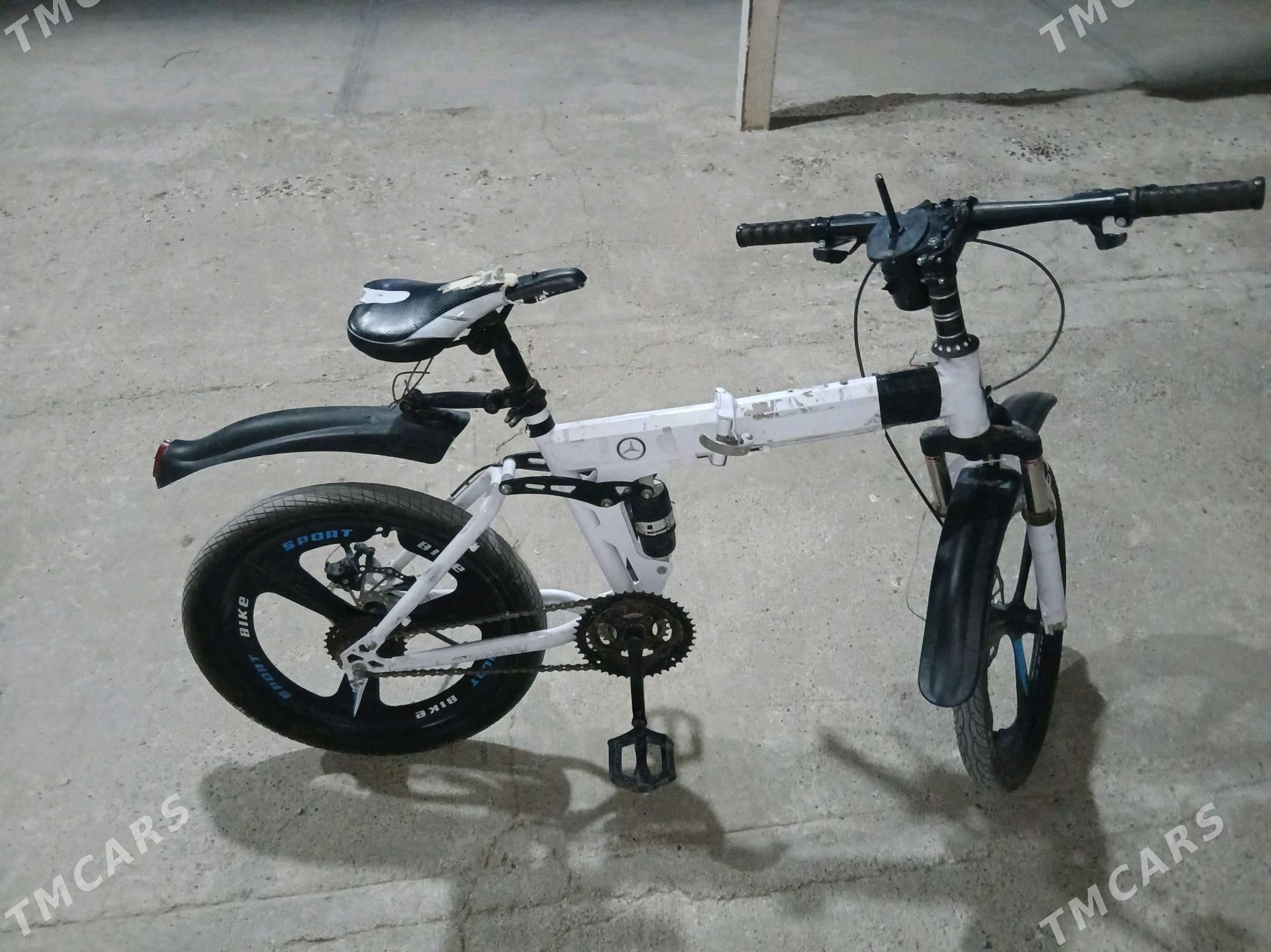 Tigir Mersedes - Херрикгала - img 6