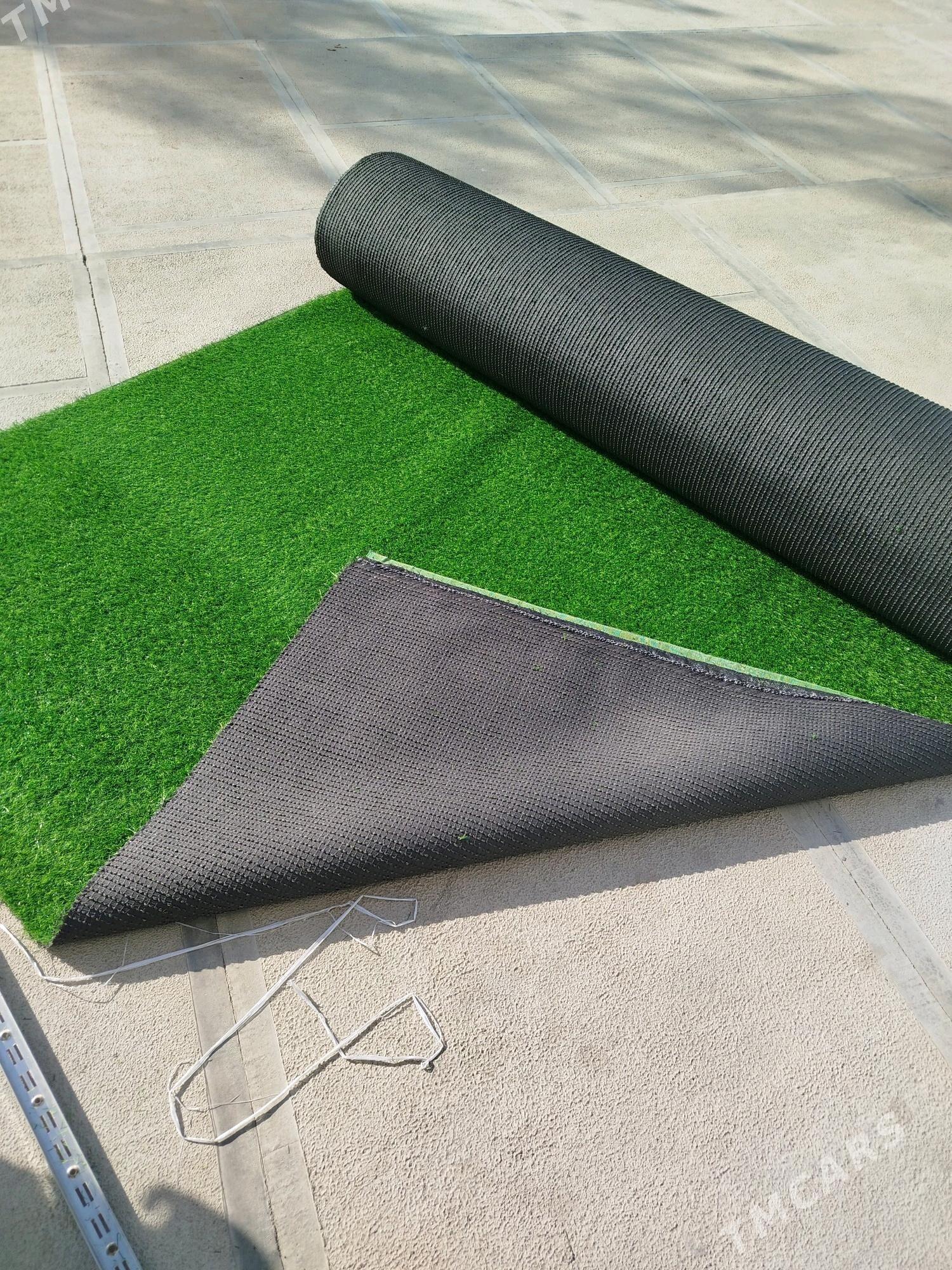 Gazon ot bezeg - Mary - img 2