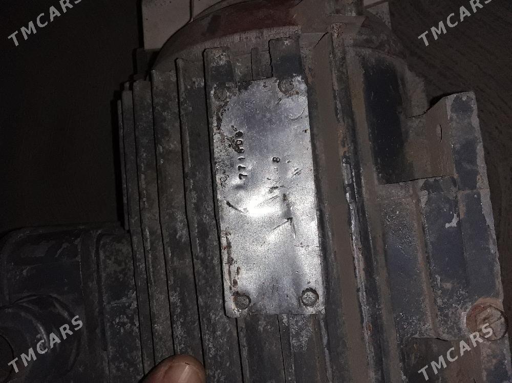 generator - Mary - img 1