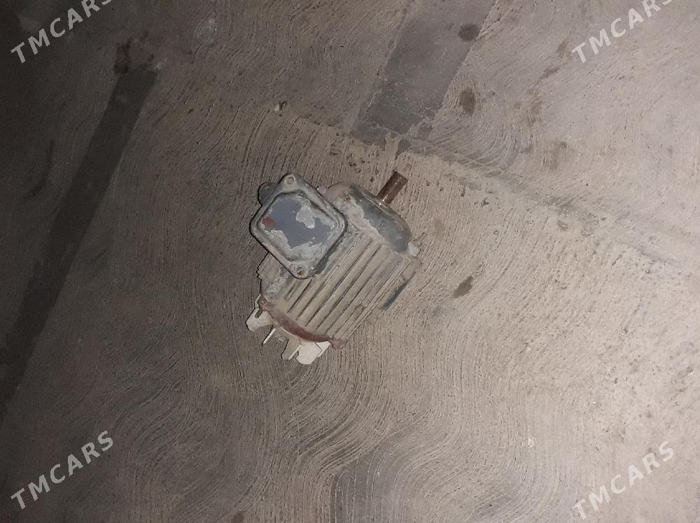 generator - Mary - img 2