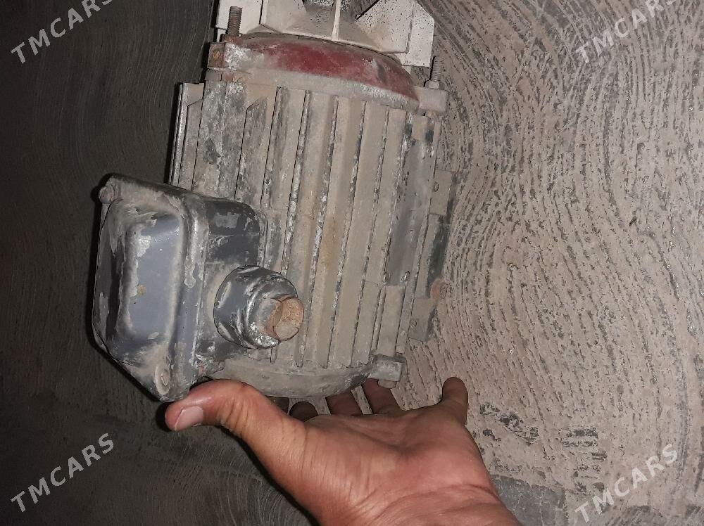 generator - Mary - img 4