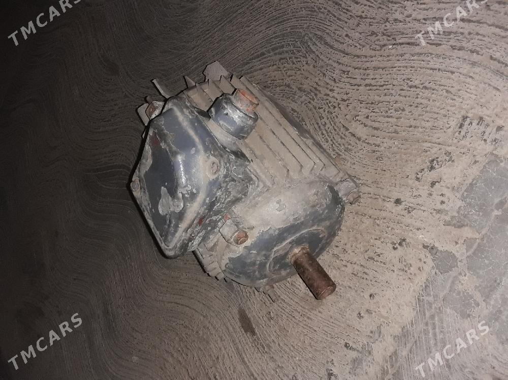 generator - Mary - img 3