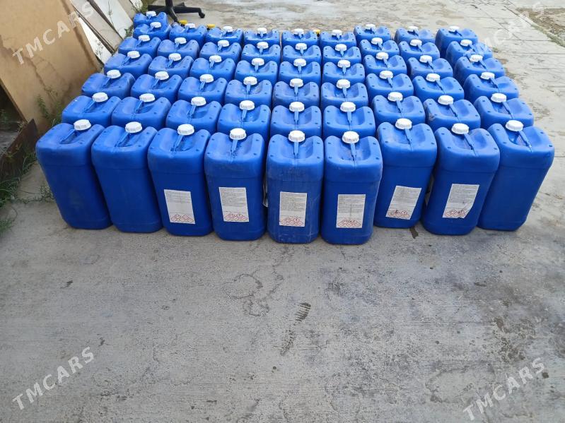 Kanistir - Büzmeýin - img 3