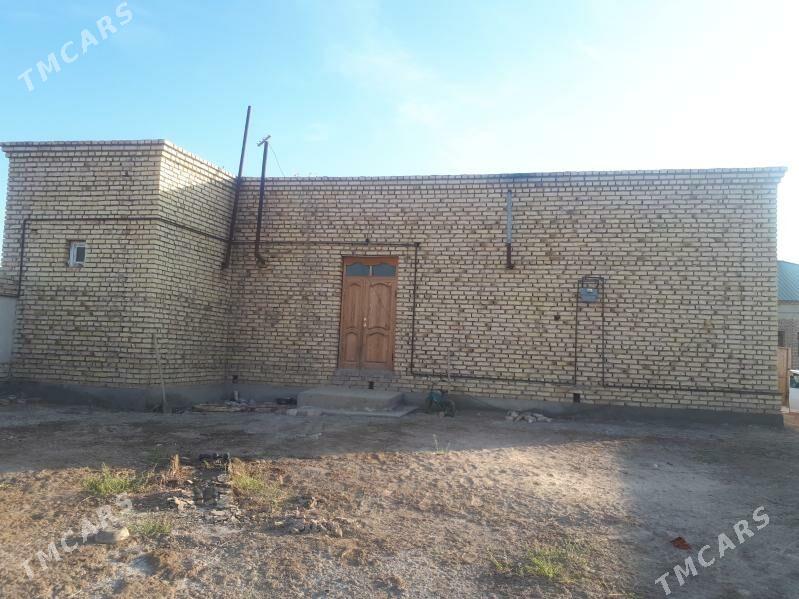 Mellek jay  4 pasilka - Шабатский этрап - img 2