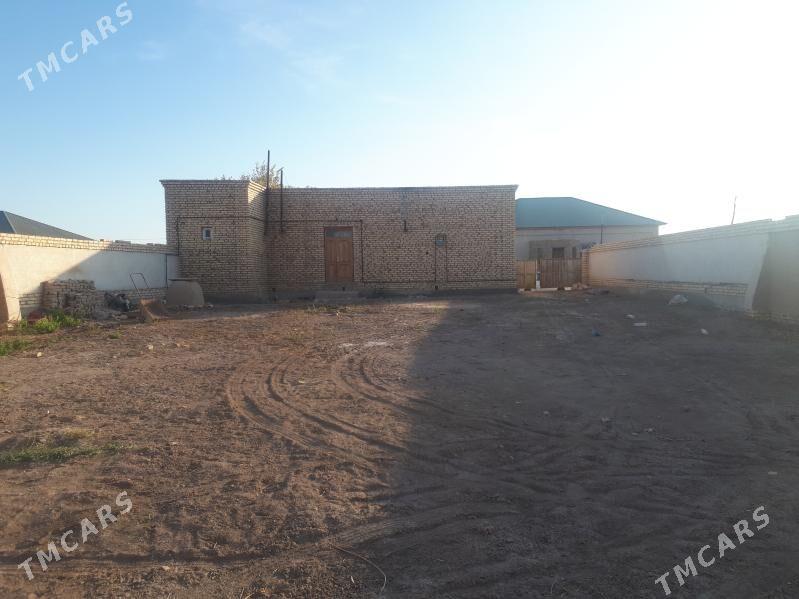 Mellek jay  4 pasilka - Шабатский этрап - img 3