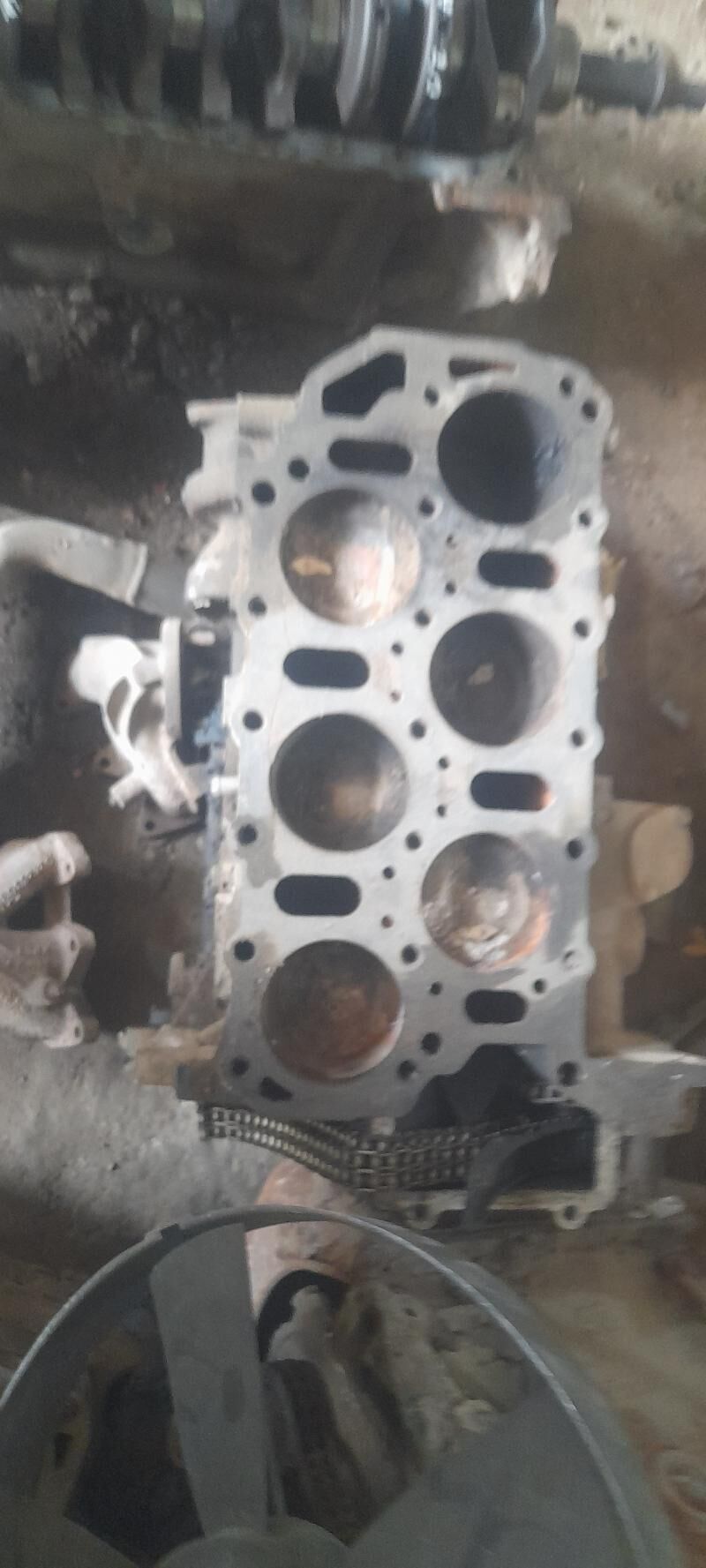 Mator Volkswagen 1 000 TMT - Gyzylarbat - img 7